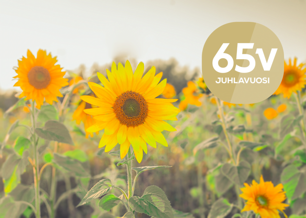 Auringonkukkapelto kuvituskuva, jossa päällä 65-vuotisjuhlalogo. 